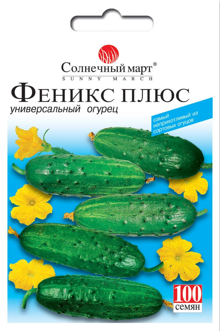 Огурец Феникс плюс